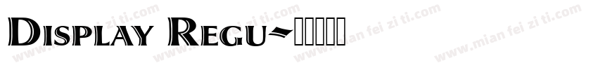 Display Regu字体转换